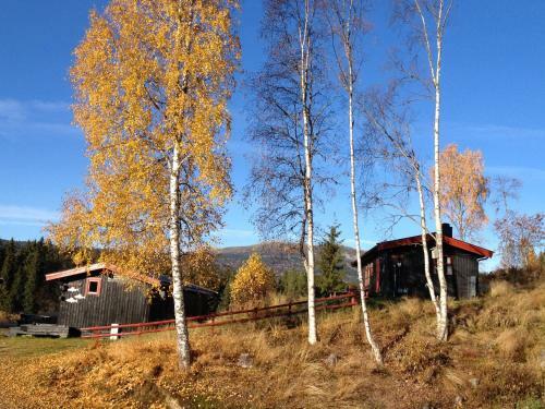 Lodge Trysil Hyttegrend