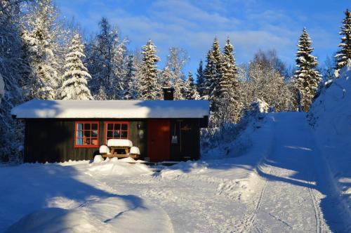 Lodge Trysil Hyttegrend