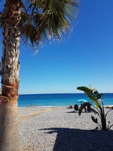 Apartamento Fame - Marina Baie Des Anges