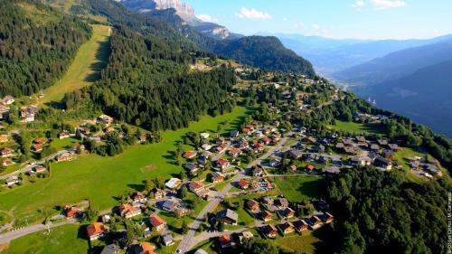 Chalet Beau Tanik 8 Pers Aux Carroz (Chbot)