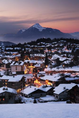 Chalet Beau Tanik 8 Pers Aux Carroz (Chbot)