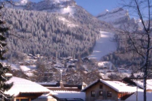 Brilliantly Located Spacious 4-bedroom Chalet