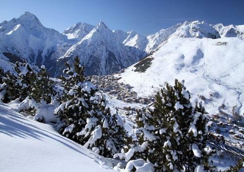 Chalet Grizzly