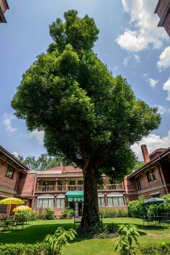 Hotel Gokarna Forest Resort