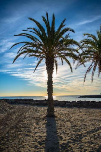 Apartamento Joli Studio Proche Palais Des Congr�s & Aper�u Mer