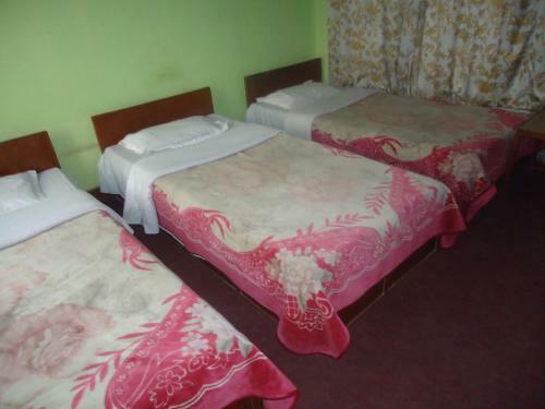 Bed & Breakfast Hotel Discovery Inn