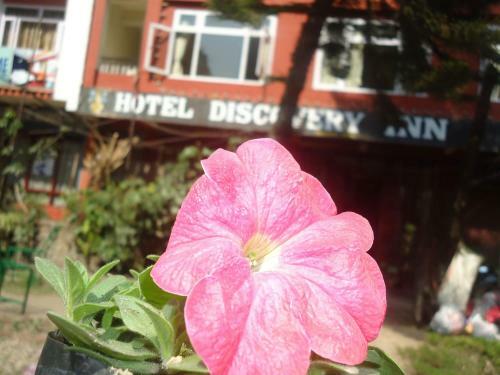 Bed & Breakfast Hotel Discovery Inn