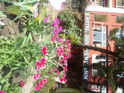 Bed & Breakfast Hotel Discovery Inn