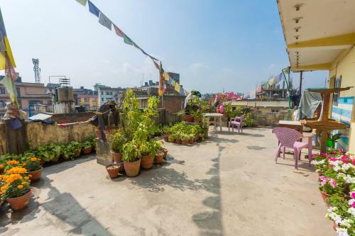 Hostal Pilgrims Guest House