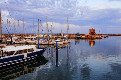 Apartamento R�sidence Front de Mer - 2 Pi�ces Pour 6 Personnes 94