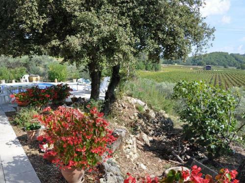 Holiday Home In Saint-antonin-du-var With Private Pool