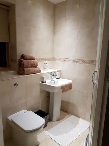 Apartamento Plas Dyffryn