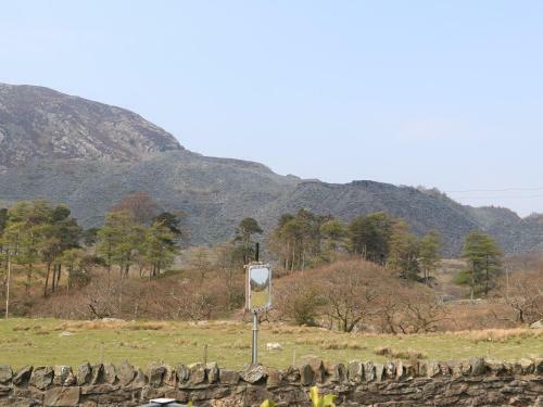 Bryn