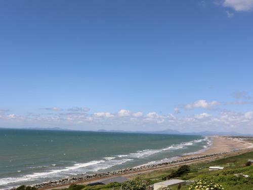 Copper Beach