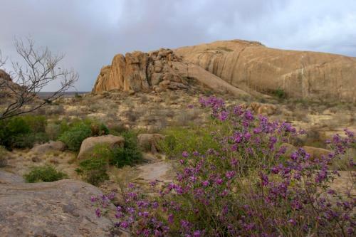 Erongo Wilderness Lodge