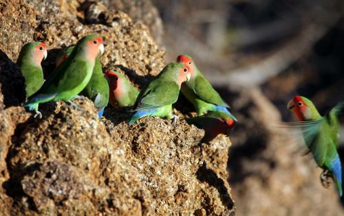 Erongo Wilderness Lodge