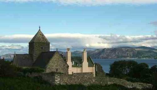 Guillemot