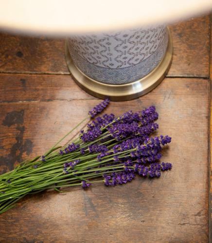 Bed & Breakfast Harnham Hall