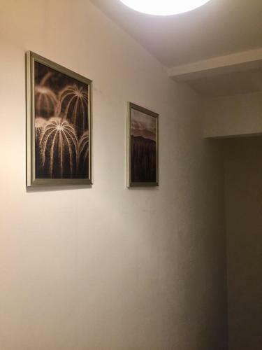 Hostal Summerfield House