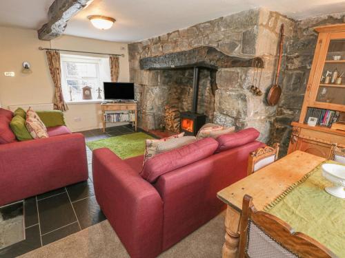 Plas Arenig
