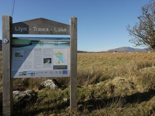 Bwthyn Bach