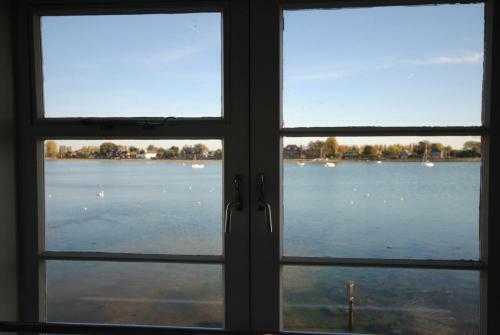 Oysters, Bosham