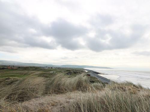 Y Felin - Celyn