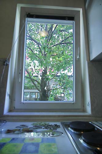 Apartment Djurovic