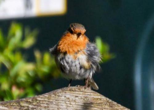 An Cuan Bed & Breakfast