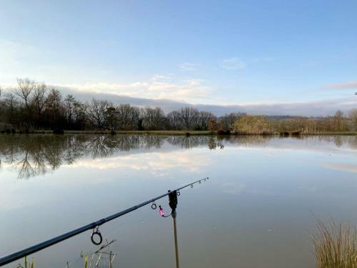 Carp - Uk32439