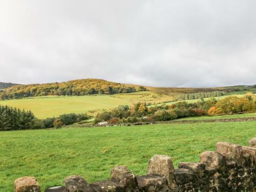 Coppice Hollow