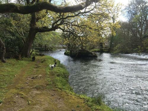 Glan Gwna Upper Lakeside Chalet Dog Friendly