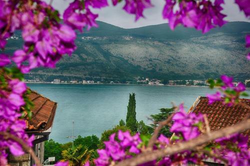 Hostal Apartments Pavlovic