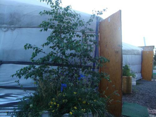 Hostal Gana's Guest House