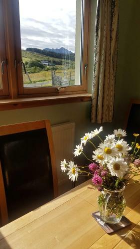 Bed & Breakfast Trien Lodge
