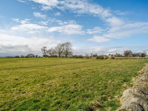Wagtail Cottage - Uk33096