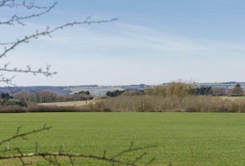 Lowfields