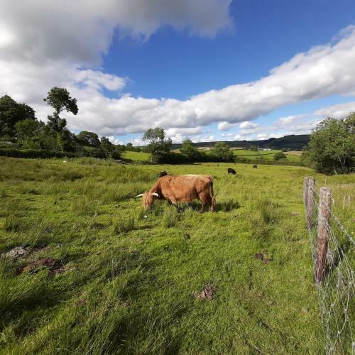 Cornflower In The Countryside With Private Garden!