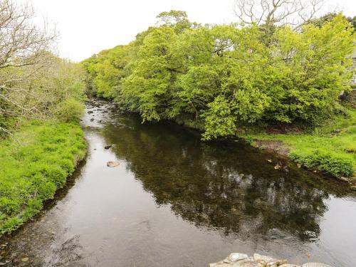 Celynfa