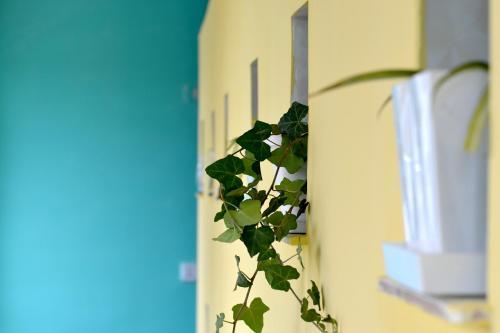 Danista Nomads Tour Hostel