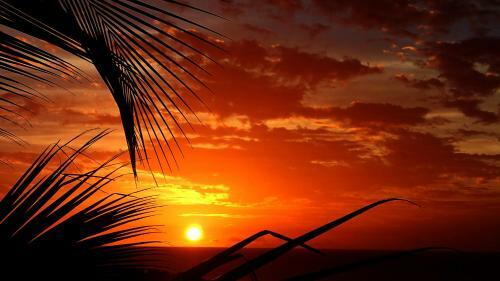 Apartamentos Cocokreyol