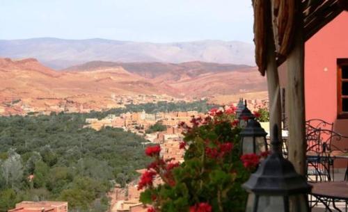 Hotel Almanader