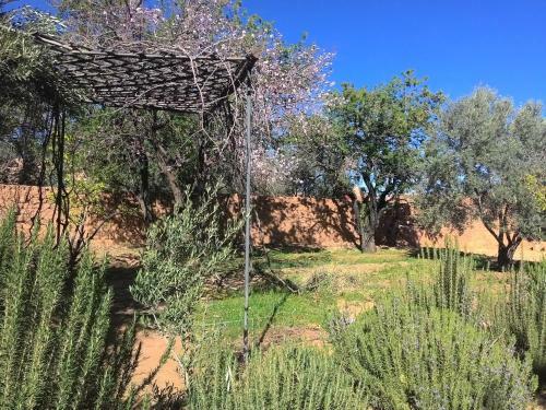 Bed & Breakfast Ecolodge Amskou