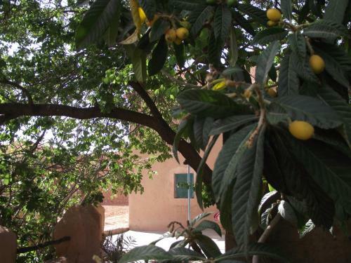 Bed & Breakfast Ecolodge Amskou
