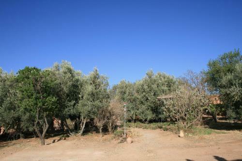 Bed & Breakfast Ecolodge Amskou