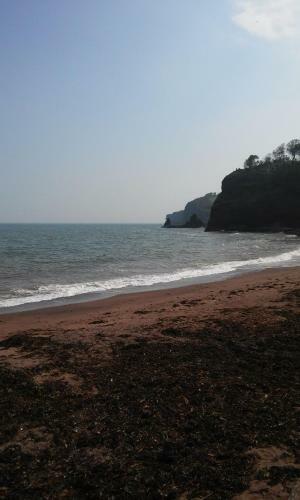 Dawlish Sea View Apartment