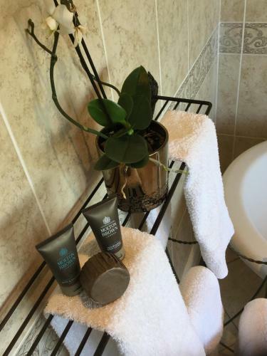 Bed & Breakfast Dodford Grange