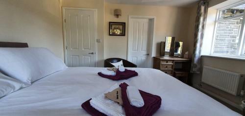 Hotel Plas Penaeldroch Manor