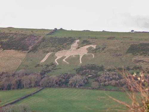 Samphire At Middle Acre