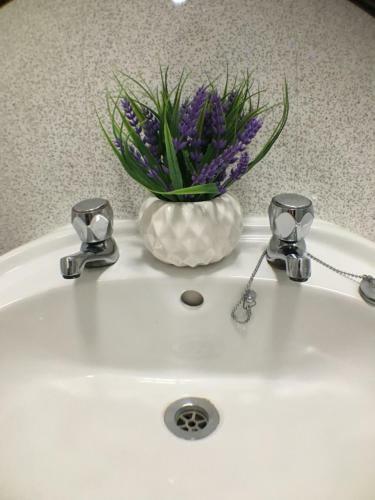 Apartamento Castle Terrace (B3 R4)